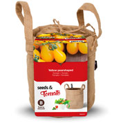 Kit de Cultura Tomates Cereja 'Yellow Pear Shaped'
